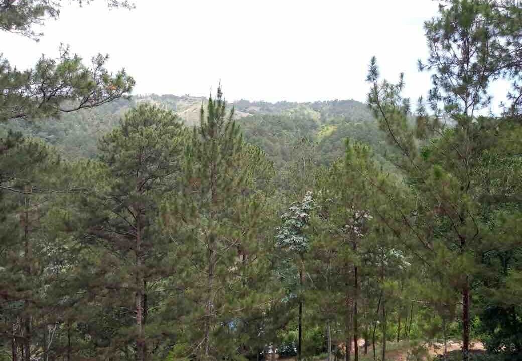 ec6e7524-03a8-473e-830d-be42803b90ae